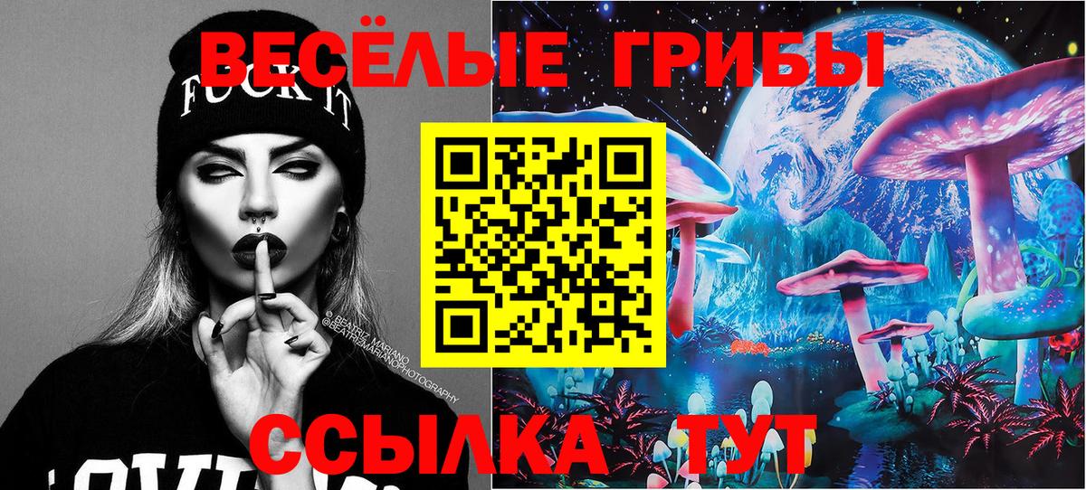 Галлюциногенные грибы прущие грибы Орехово-Зуево