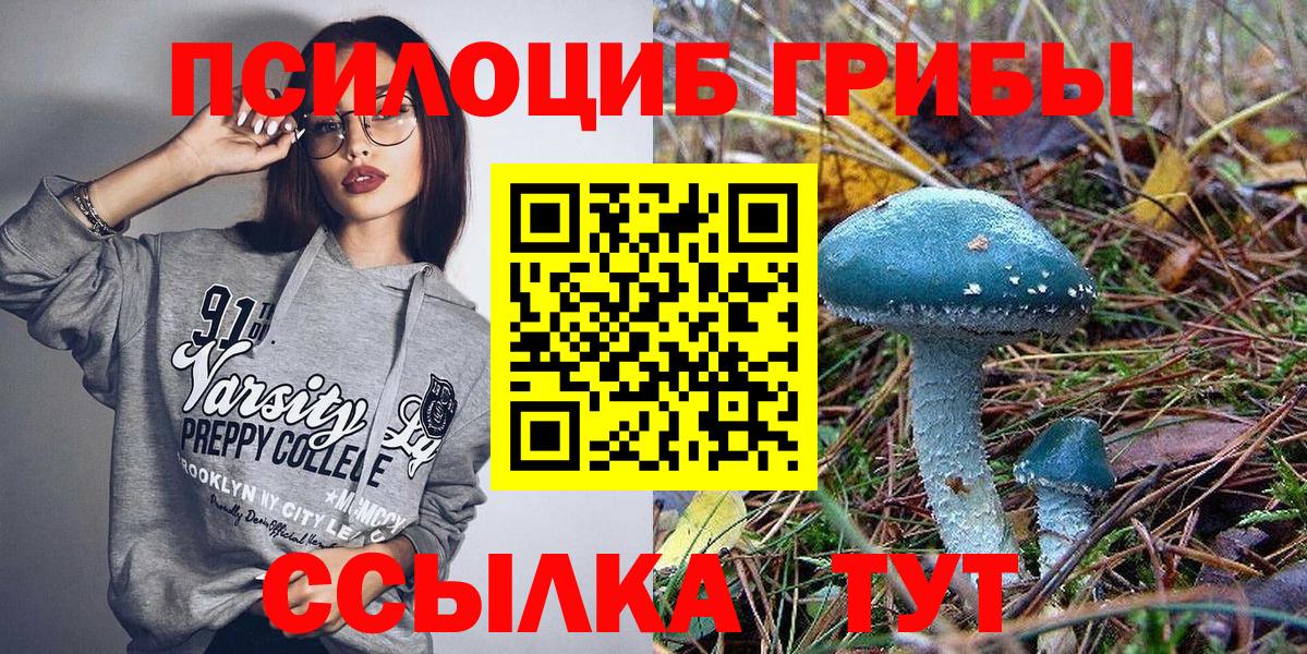 Псилоцибиновые грибы Psilocybine cubensis  Вход с VPN  Орехово-Зуево  Галлюциногенные грибы Psilocybe 